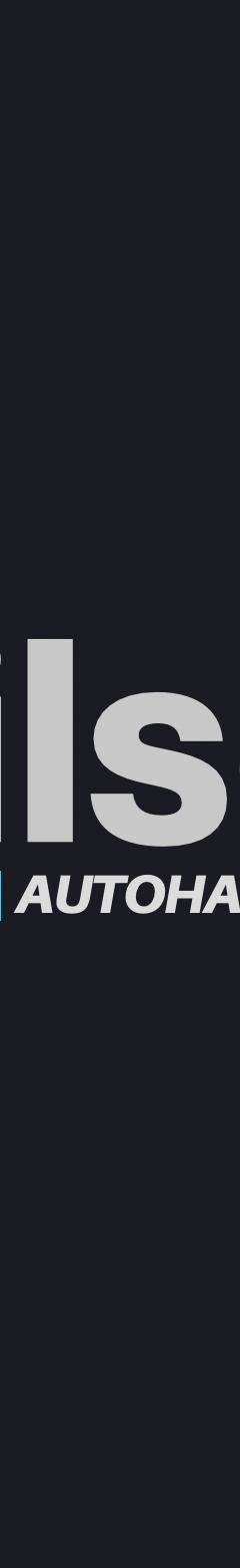 Wilson Auto Import